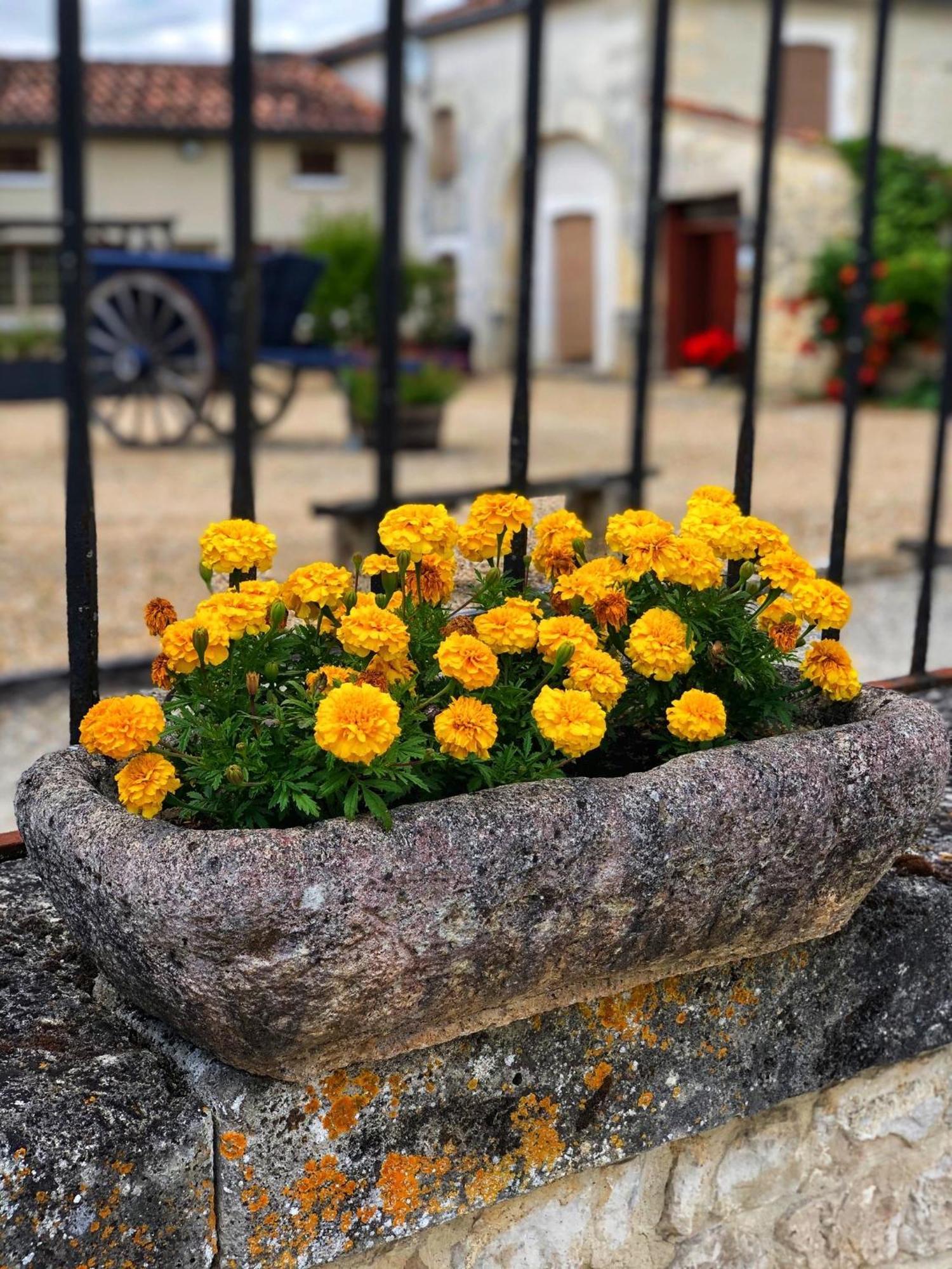Gites De Cognac Bréville Dış mekan fotoğraf